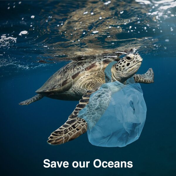 des étuis de téléphone écologiques pour sauver nos océans des déchets plastiques